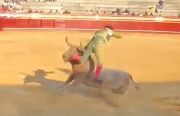 Horrifying moment bullfighter is gored in the rectum & viciously tossed around in front of screaming crowd | The Sun