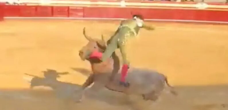 Horrifying moment bullfighter is gored in the rectum & viciously tossed around in front of screaming crowd | The Sun