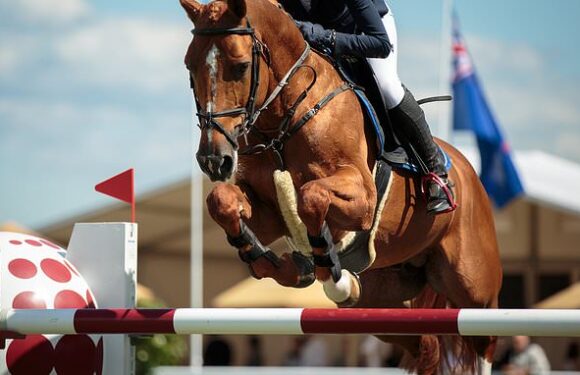 Horse riders who appear too heavy 'should be weighed before riding'