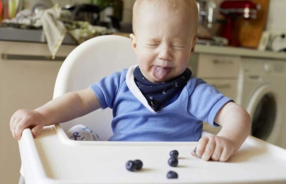 How a simple rhyme could save your child’s life | The Sun