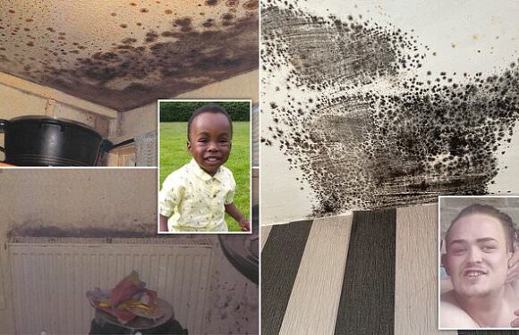 How dangerous is that mould in your home? Here's what experts say