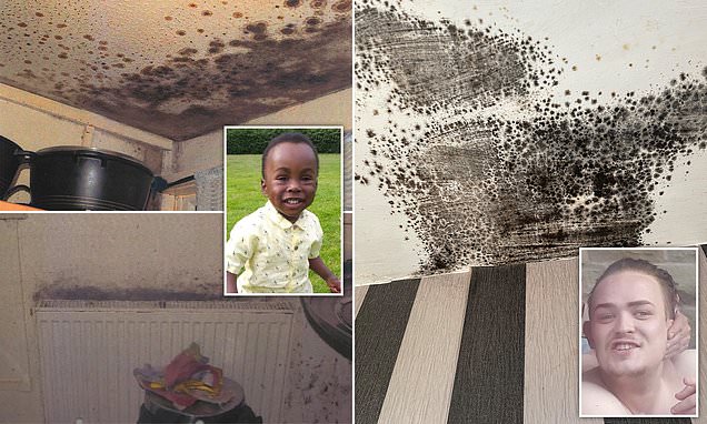 How dangerous is that mould in your home? Here's what experts say