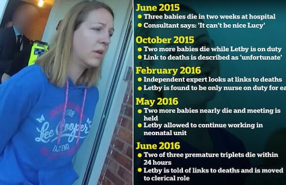 How hospital bosses refused to believe Lucy Letby was behind deaths