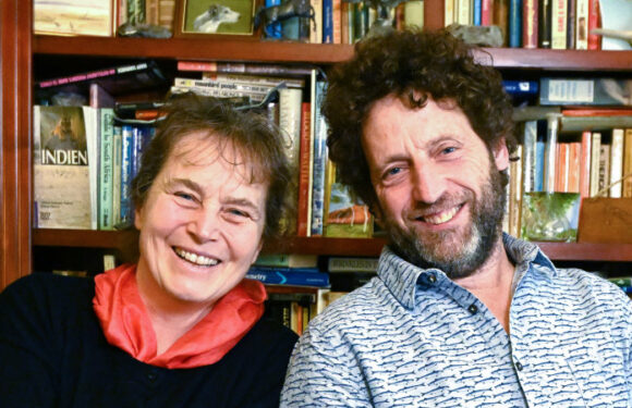 How switching off cancer cells could help avoid ‘sledgehammer’ chemotherapy