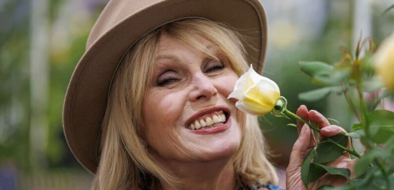 How to live life absolutely fabulously: Joanna Lumley reveals her secrets