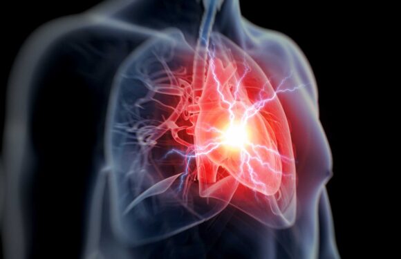 How to reduce blood sugar as experts say even normal levels are a heart risk | The Sun