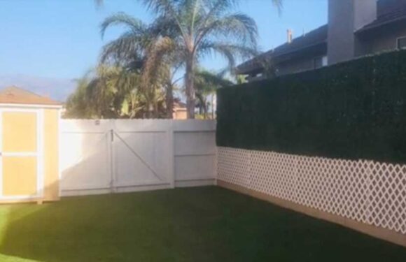 I built a Home Depot privacy fence which blends seamlessly in with the surroundings, people say it's 'dope' | The Sun