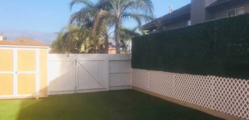 I built a Home Depot privacy fence which blends seamlessly in with the surroundings, people say it's 'dope' | The Sun