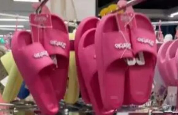 I cleared the shelves of sliders in Primark and sold them on for a profit – now I'm accused of 'robbing the poor' | The Sun