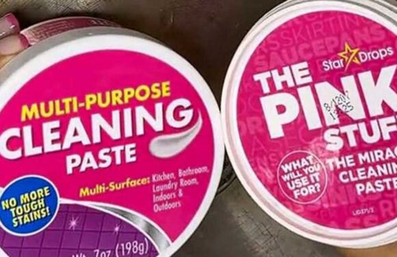 I found a Dollar Tree dupe for The Pink Stuff – I cleaned the same pan with both to see if the $1.25 version is worth it | The Sun