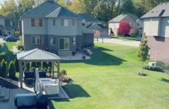 I got my own back on nightmare neighbours complaining gazebo was blocking her view – people think my idea is genius | The Sun