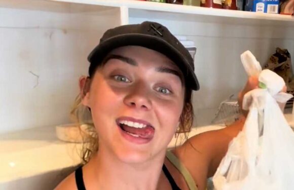 I have a 'Costco door' inside my kitchen pantry – it's seriously the best invention ever and makes life easier | The Sun