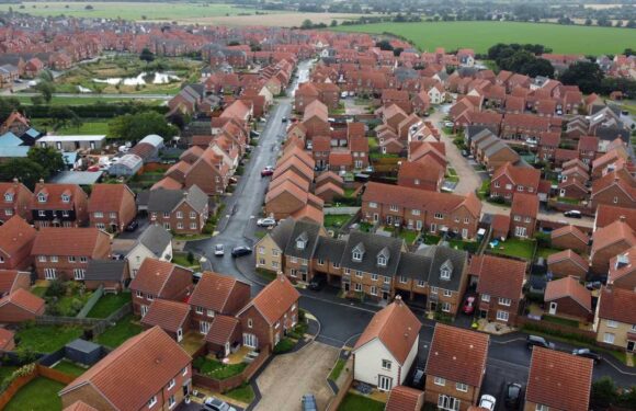 I live in Britain's newbuild capital – I paid £275,000 but my ceiling leaked and garden was in a total state | The Sun