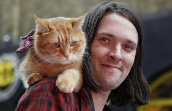 I made £1million & owned a £500k house thanks to my very famous cat – now I'm being made homeless AGAIN | The Sun