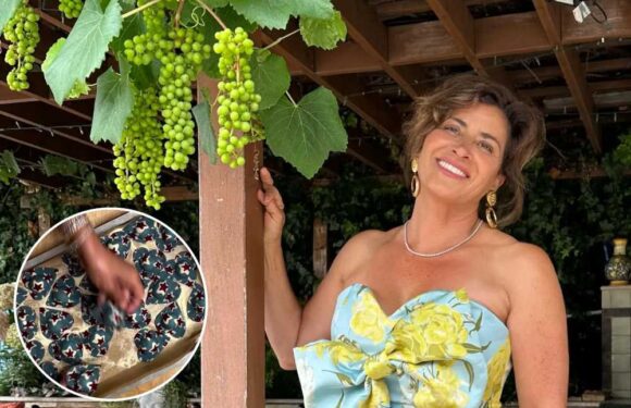 I make £8k a month doing a job you don’t need qualifications for – it started after I had a brainwave making food | The Sun