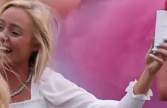 I planned the perfect gender reveal but it was a disaster – there was a safety instruction we should have listened to | The Sun