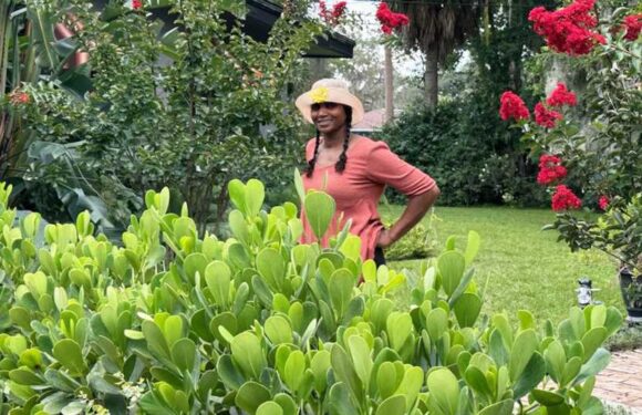 I transformed my backyard on a budget – I made my decking from free pallets and paid $50 for bricks from the 1800s | The Sun