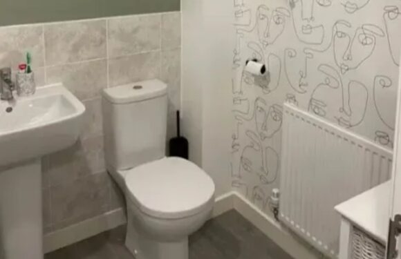 I transformed my bathroom using bargain buys and it cost just £21 – it proves anyone can achieve boujee on a budget | The Sun