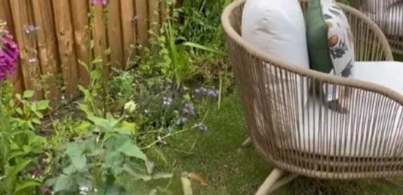 I transformed my dull new build garden into a country cottage dream on the cheap with bargain Aldi buys…it looks insane | The Sun