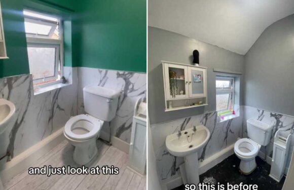 I transformed my hated council house from drab to fab in 11 days using Wickes & Aldi bargains – but there was a blunder | The Sun