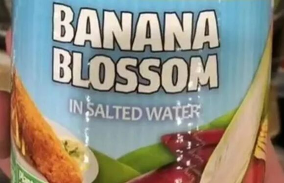 I tried Aldi's new 29p 'fish alternative' in a tin – here’s what I thought and if it's even worth that | The Sun