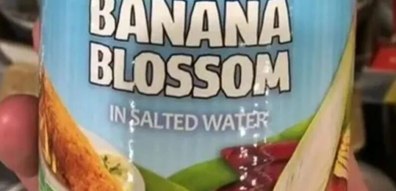 I tried Aldi's new 29p 'fish alternative' in a tin – here’s what I thought and if it's even worth that | The Sun