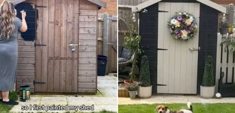 I used Wilko paint to transform my tired garden shed – it cost just £12 and the difference is amazing | The Sun