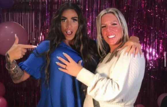 I was Katie Price’s surrogate but I’ll never speak to ‘disgusting’ star again – she wants to get pregnant to avoid jail | The Sun