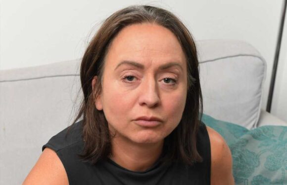 I was mauled and hospitalised by savage pitbull while its model owner LAUGHED… but her actions at court were even worse | The Sun