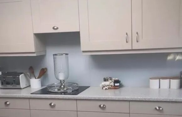 I was quoted over £11k for a new kitchen so gave my old one a glow up instead using a £23 bargain buy from The Range | The Sun