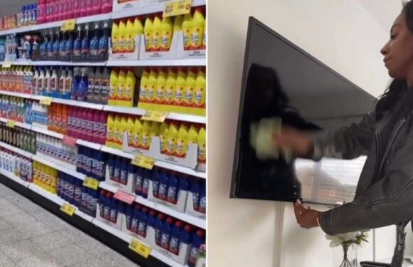 I went to Home Bargains and got everything to make my home spotless for under £5 – here’s my shopping list | The Sun