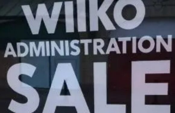 I whizzed to Wilko to check out their ‘sale’ before they go under & here’s whether the ‘bargains’ are really worth it | The Sun