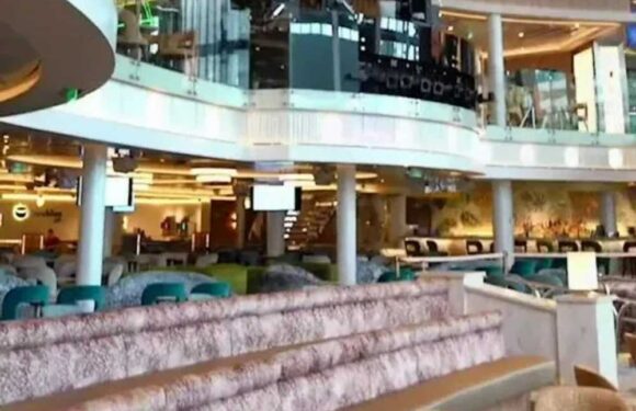 I work on a cruise ship – here's four things people should know & the secret trick to conquering motion sickness | The Sun