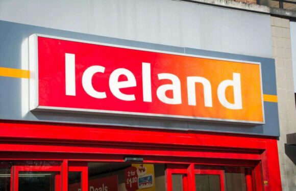 Iceland shoppers race to pick up items scanning for 50 % off as stores across the UK close | The Sun