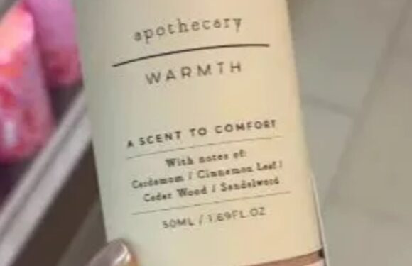 I’m a beauty whizz and M&S have the best Jo Malone, Chanel and Lancome perfume dupes right now and they are SO cheap | The Sun