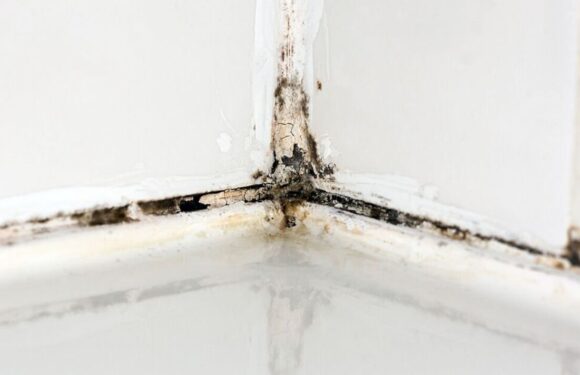 Im a cleaning expert – one mistake could be inviting mould into your bathroom