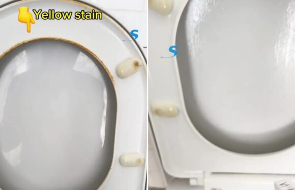 I’m a cleaning fan and have an easy way to get rid of yellow stains off your toilet – and you don’t need to scrub | The Sun