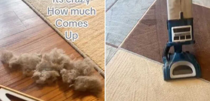 I’m a cleaning fan – the Amazon buy I use to get my carpets really clean and it’s way more effective than your hoover | The Sun
