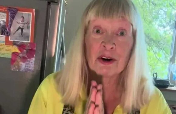 I’m a cleaning whizz & hate fruit flies in my kitchen – the miracle 29p product that’ll get rid of them in an instant | The Sun