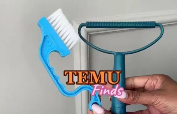 I’m a cleaning whizz and did a giant Temu review – the five essentials worth nabbing including a carpet lifesaver | The Sun