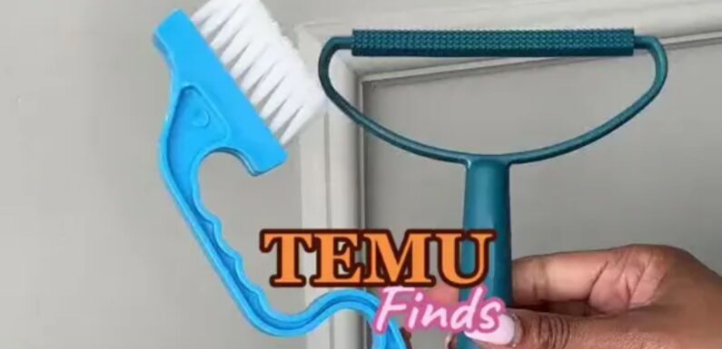 I’m a cleaning whizz and did a giant Temu review –  the five essentials worth nabbing including a carpet lifesaver | The Sun