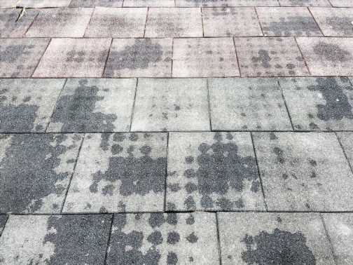I’m a cleaning whizz – how to get rid of black stains on patios using a bargain 20p product | The Sun