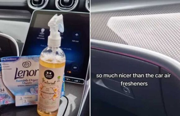 I’m a gypsy and have the perfect scent hack to make your car smell so fresh – best of all it costs pennies | The Sun