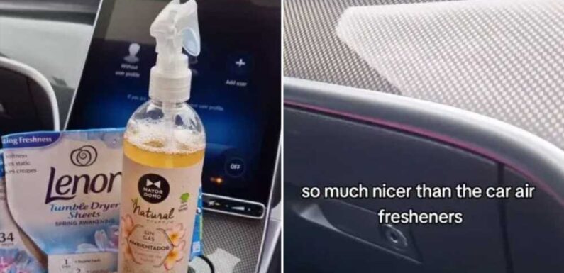 I’m a gypsy and have the perfect scent hack to make your car smell so fresh – best of all it costs pennies | The Sun