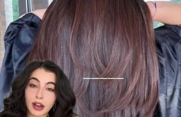 I’m a hair expert and there’s a common style people with thin hair should never have – you’ll totally regret it | The Sun