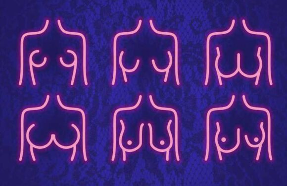 I’m a style pro – from deflated to round, eight different breast shapes and what bra you should pick for each one | The Sun