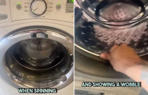 I’m an appliance pro here’s why your washing machine is making so much noise and why you MUST replace it right away | The Sun