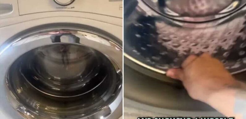 I’m an appliance pro here’s why your washing machine is making so much noise and why you MUST replace it right away | The Sun