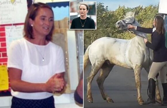 I'm working at new school, says mother sacked after pony slap