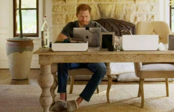Inside Prince Harry’s lavish home office with 'thrones', dog beds & a sweet photo of Archie | The Sun